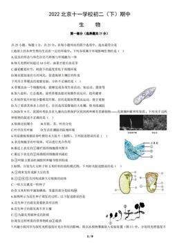 2022北京十一学校初二（下）期中生物（教师版）-答案
