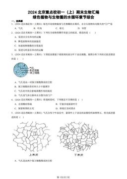 2024北京重点校初一（上）期末生物汇编：绿色植物与生物圈的水循环章节综合-答案