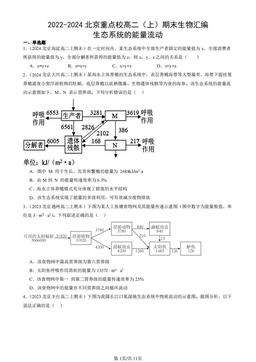 2022-2024北京重点校高二（上）期末生物汇编：生态系统的能量流动-答案
