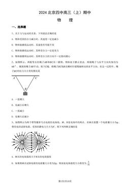 2024北京四中高三（上）期中物理-试题