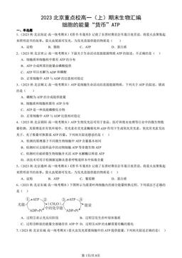 2023北京重点校高一（上）期末生物汇编：细胞的能量“货币”ATP-答案
