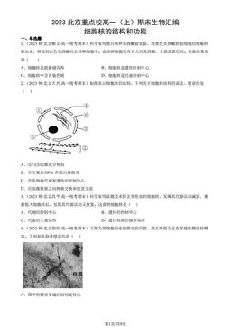 2023北京重点校高一（上）期末生物汇编：细胞核的结构和功能-答案