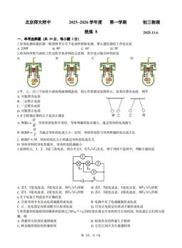 2025北京北师大附中初三（上）统练八物理（教师版）-答案
