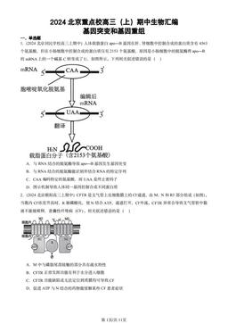 2024北京重点校高三（上）期中生物汇编：基因突变和基因重组-答案