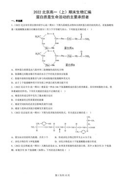 2022北京高一（上）期末生物汇编：蛋白质是生命活动的主要承担者-答案