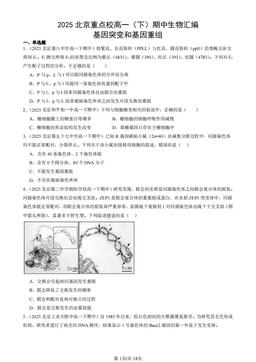 2025北京重点校高一（下）期中生物汇编：基因突变和基因重组-答案