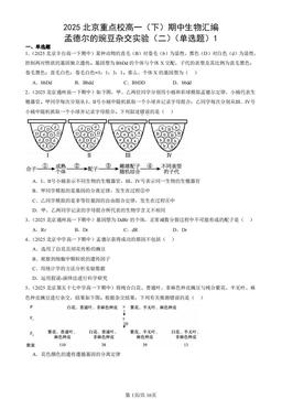 2025北京重点校高一（下）期中生物汇编：孟德尔的豌豆杂交实验（二）（单选题）1-答案