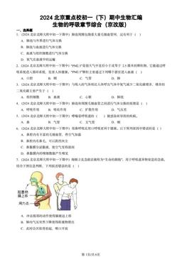 2024北京重点校初一（下）期中生物汇编：生物的呼吸章节综合（京改版）-答案