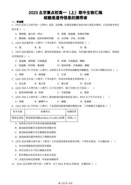2023北京重点校高一（上）期中生物汇编：核酸是遗传信息的携带者-答案