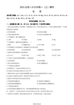 2023北京一六六中高一（上）期中化学（教师版）-答案