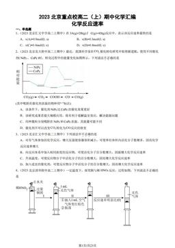 2023北京重点校高二（上）期中化学汇编：化学反应速率-答案