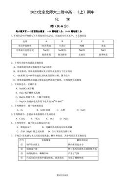 2023北京北师大二附中高一（上）期中化学（教师版）-答案