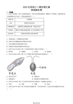 2023北京初二一模生物汇编：单细胞生物-答案
