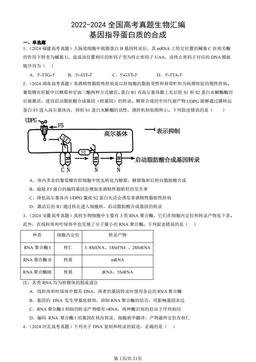 2022-2024全国高考真题生物汇编：基因指导蛋白质的合成-答案