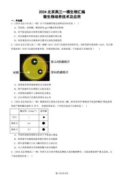 2024北京高三一模生物汇编：微生物培养技术及应用-答案