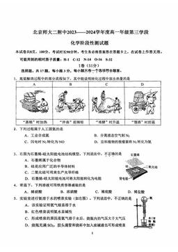 2024北京师大二附中高一（下）期中化学-答案