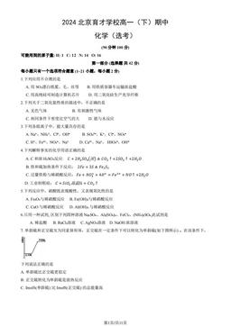 2024北京育才学校高一（下）期中化学（选考）（教师版）-答案