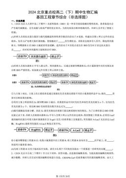 2024北京重点校高二（下）期中生物汇编：基因工程章节综合（非选择题）-答案