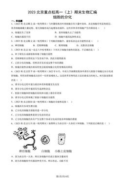 2023北京重点校高一（上）期末生物汇编：细胞的分化-答案