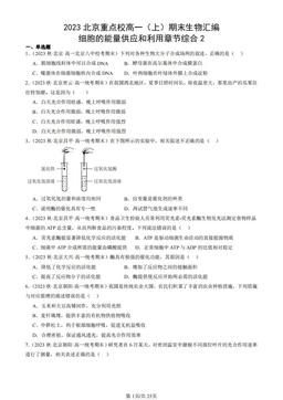 2023北京重点校高一（上）期末生物汇编：细胞的能量供应和利用章节综合2-答案