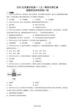 2023北京重点校高一（上）期末生物汇编：细胞的多样性和统一性-答案