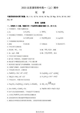 2023北京清华附中高一（上）期中化学（教师版）-答案