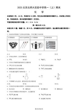 2023北京北师大实验中学高一（上）期末化学（教师版）-答案