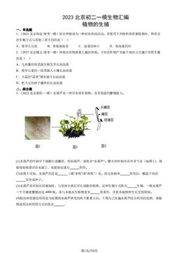 2023北京初二一模生物汇编：植物的生殖-答案