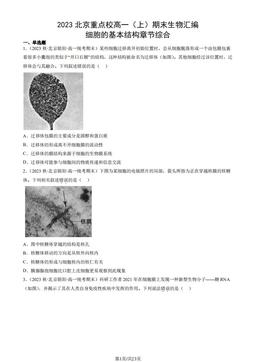 2023北京重点校高一（上）期末生物汇编：细胞的基本结构章节综合-答案