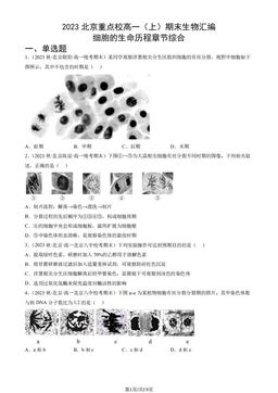 2023北京重点校高一（上）期末生物汇编：细胞的生命历程章节综合-答案