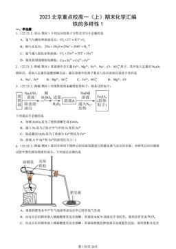 2023北京重点校高一（上）期末化学汇编：铁的多样性1-答案