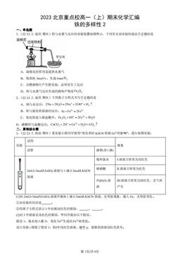 2023北京重点校高一（上）期末化学汇编：铁的多样性2-答案