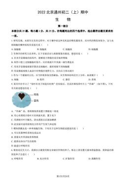 2022北京通州初二（上）期中生物（教师版）-答案
