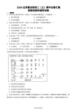 2024北京重点校初二（上）期中生物汇编：腔肠动物和扁形动物-答案