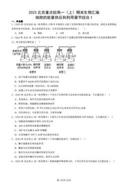 2023北京重点校高一（上）期末生物汇编：细胞的能量供应和利用章节综合1-答案