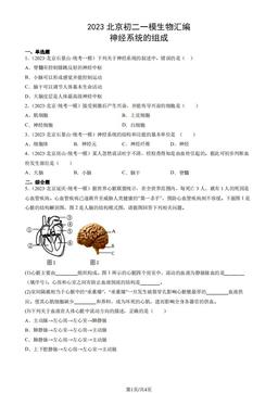 2023北京初二一模生物汇编：神经系统的组成-答案