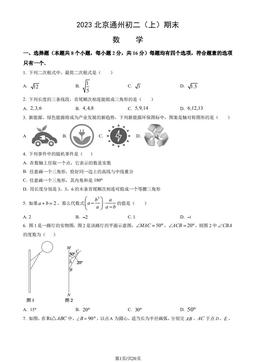 2023北京通州初二（上）期末数学（教师版）-答案