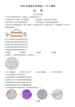 2022北京文汇中学初二（下）期中生物（教师版）-答案