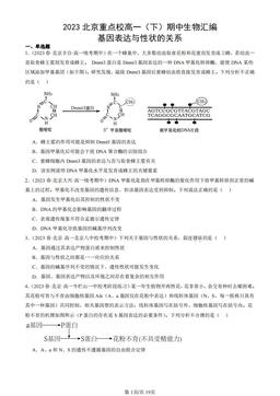 2023北京重点校高一（下）期中生物汇编：基因表达与性状的关系-答案