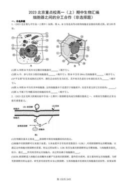 2023北京重点校高一（上）期中生物汇编：细胞器之间的分工合作（非选择题）-答案
