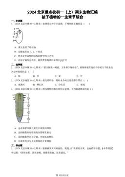 2024北京重点校初一（上）期末生物汇编：被子植物的一生章节综合-答案