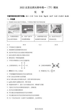 2022北京北师大附中高一（下）期末化学（教师版）-答案