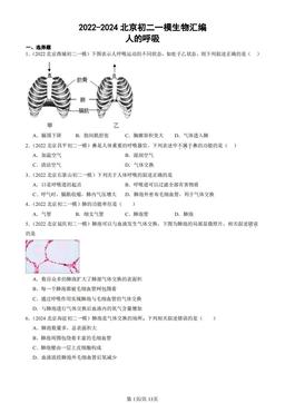 2022-2024北京初二一模生物汇编：人的呼吸-答案