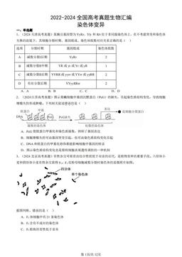 2022-2024全国高考真题生物汇编：染色体变异-答案
