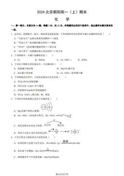 2024北京朝阳高一（上）期末化学（教师版）-答案