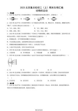 2023北京重点校初二（上）期末生物汇编：动物的运动-答案