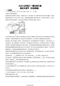 2025北京高三一模生物汇编：稳态与调节（非选择题）-答案
