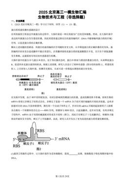 2025北京高三一模生物汇编：生物技术与工程（非选择题）-答案