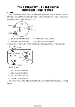 2024北京重点校高三（上）期中生物汇编：细胞的物质输入与输出章节综合-答案