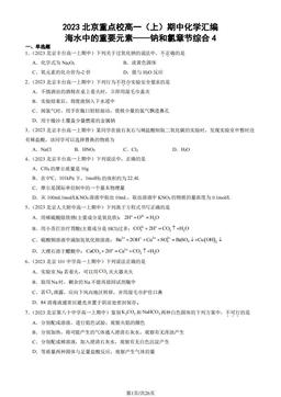 2023北京重点校高一（上）期中化学汇编：海水中的重要元素——钠和氯章节综合4-答案